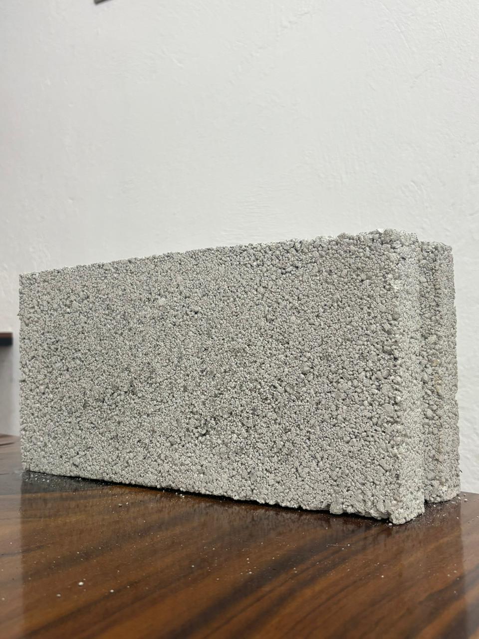 Block Macizo Ligero 12x20x40